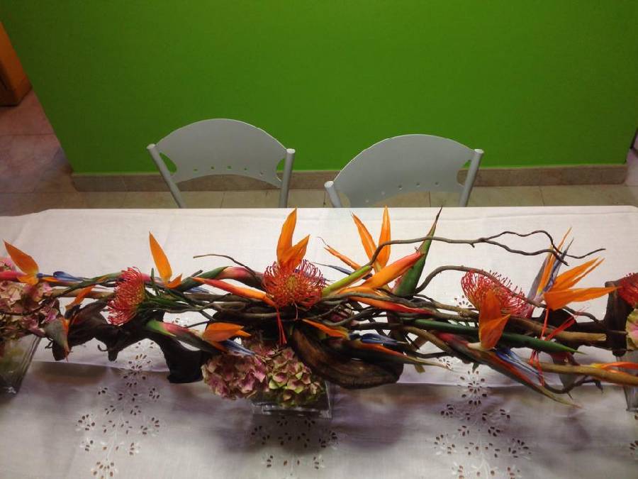 Ikebana di Natale Antonietta immagine
