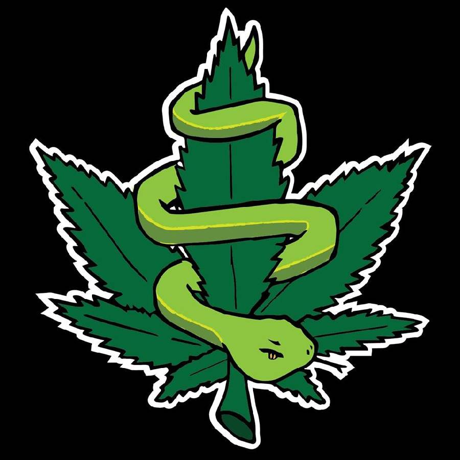 SWEET LEAF CENTOCELLE CANAPA SHOP immagine