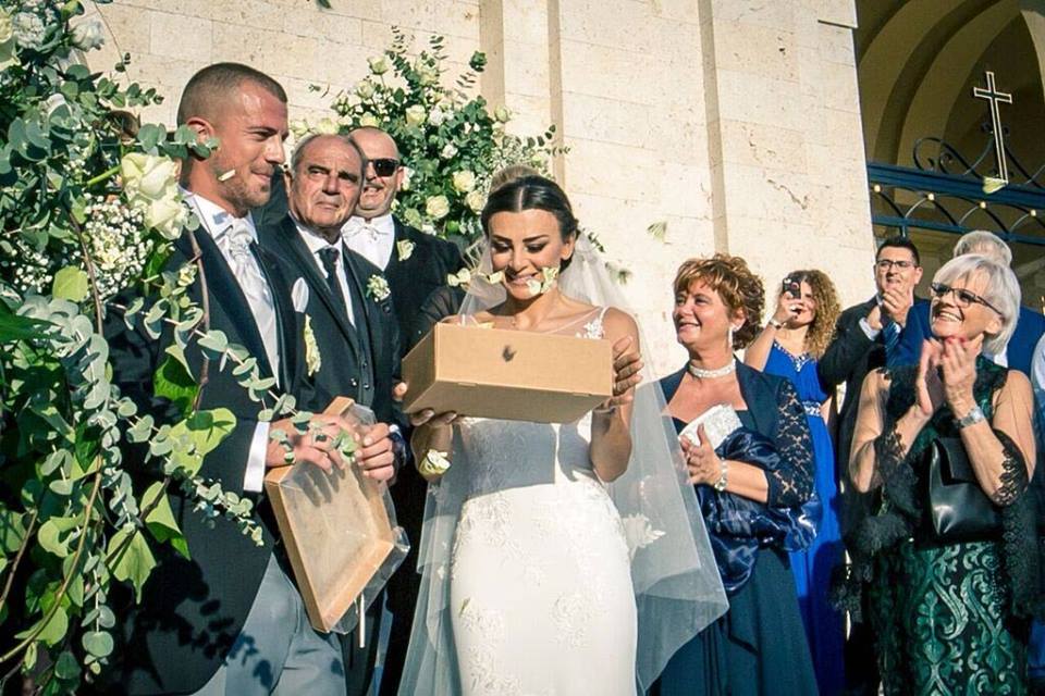 Farfalle per eventi - Matrimonio