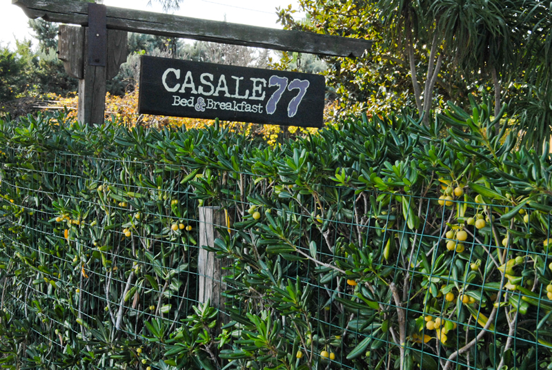 PASQUA NEL CUORE DI ORBETELLO