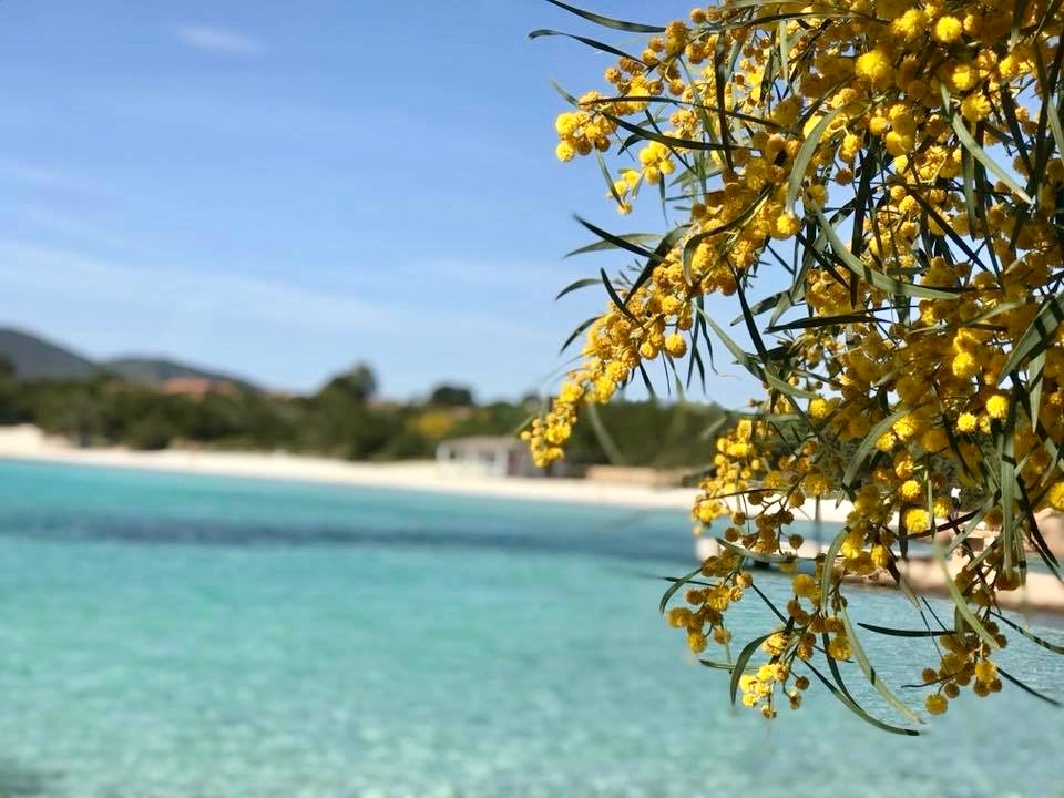 Sardegna, Marzo pazzerello al mare senza ombrello!