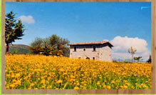 SOGGIORNO MINIMO 3 notti