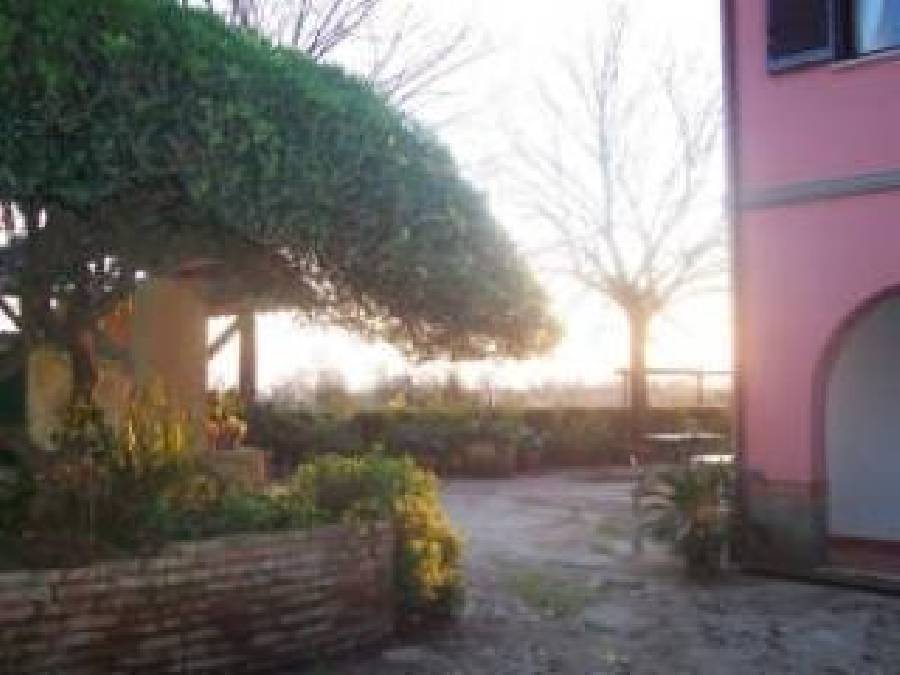 Foto AL CAMPETTO DI VELLETRI