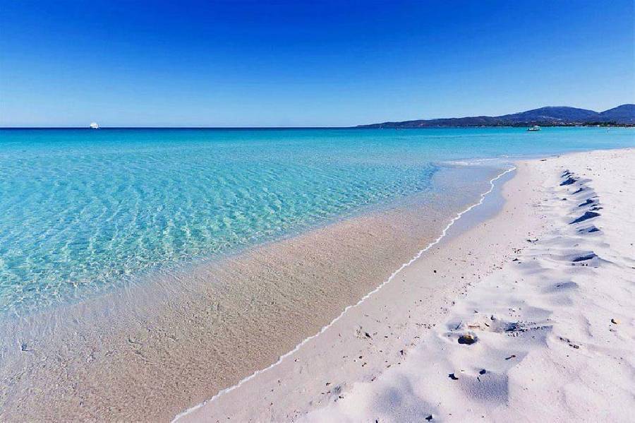 Foto Aprile in Sardegna, profumo di primavera!