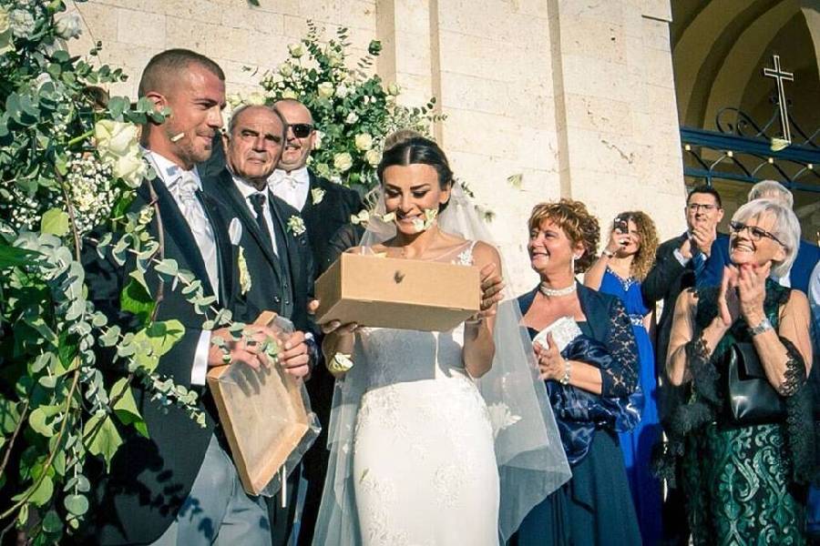 Foto Farfalle per eventi - Matrimonio