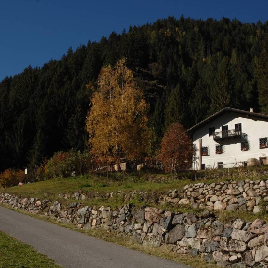 Foto IN MEZZO AL BOSCO