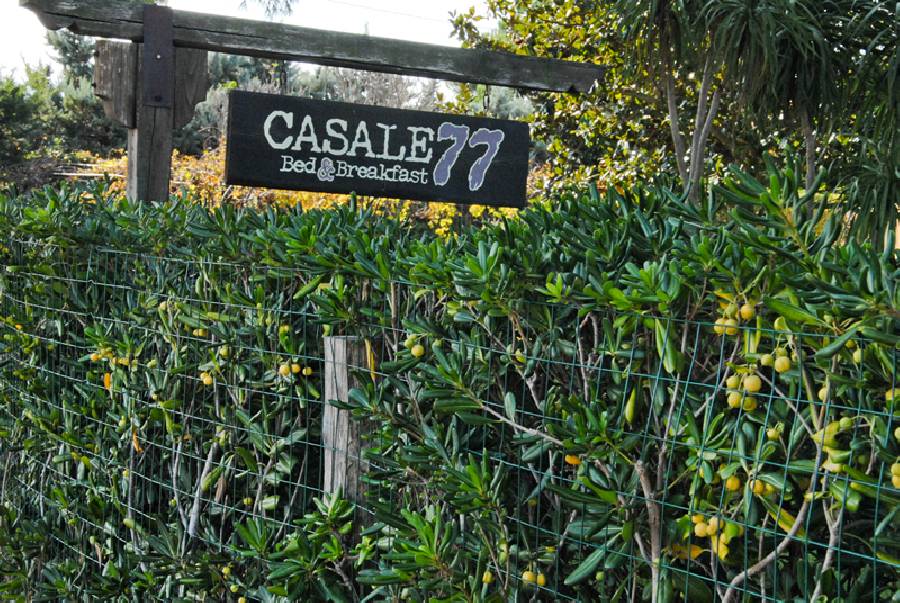 Foto PASQUA NEL CUORE DI ORBETELLO