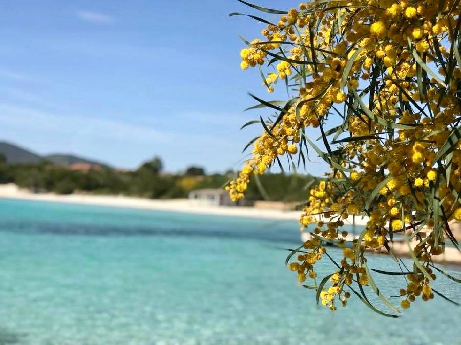 Foto Sardegna, Marzo pazzerello al mare senza ombrello!