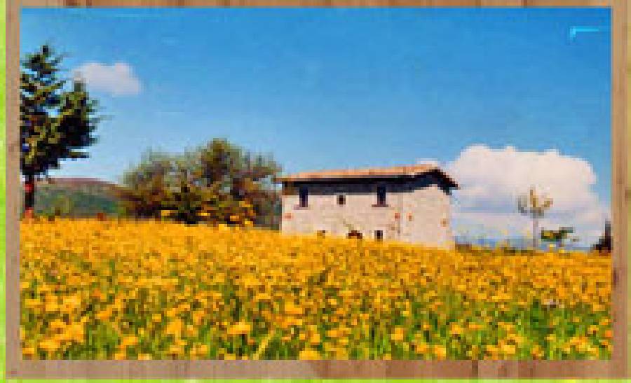 Foto SOGGIORNO MINIMO 3 notti